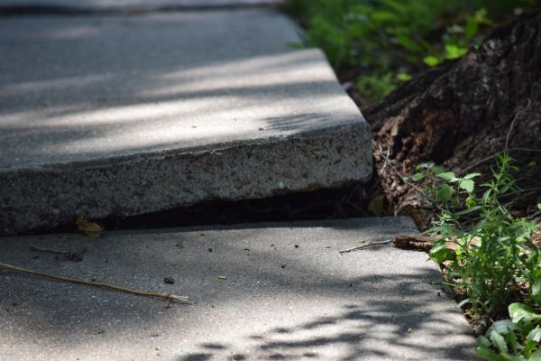 Cost of Sidewalk Leveling in Snohomish